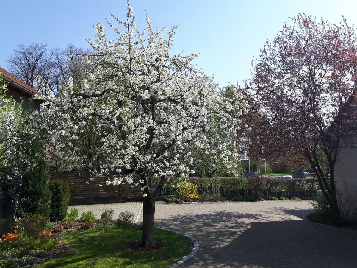 Appartamento Der Kirschbaumhof Strullendorf Esterno foto